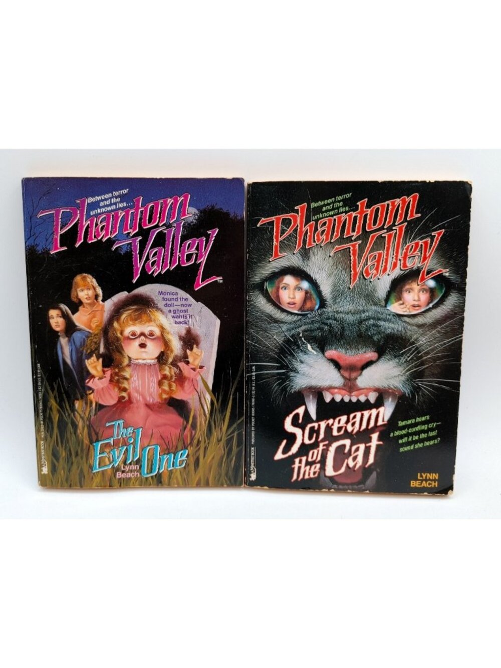 Lot Of 2 Phantom Valley Lynn Beach 91-92 First Minstrel Printing Paperback Books